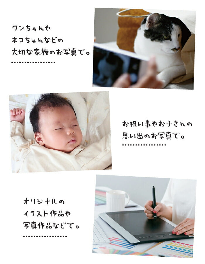 コインケース 装着例